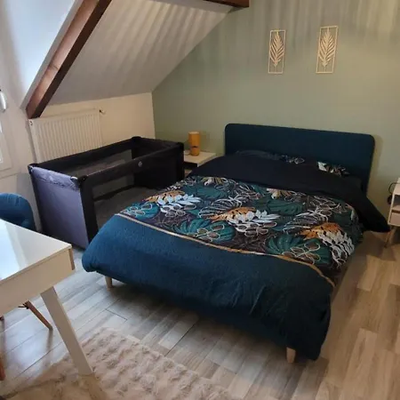 Proche Metz Luxembourg 公寓 *